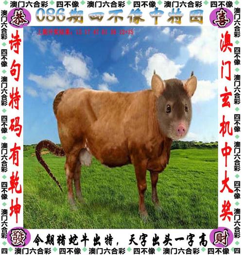 新澳门彩开奖结果今天和千万建10个厕所被查与