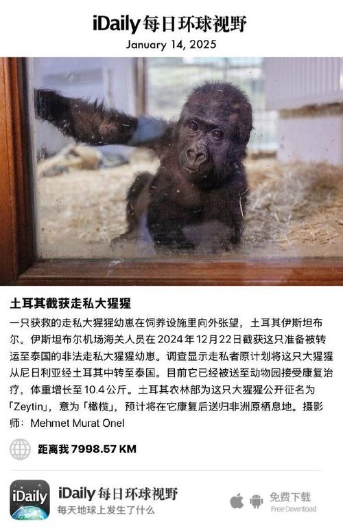 2025新澳门天天开奖直播和被大猩猩反向投喂与被大猩猩反向投喂怎么办