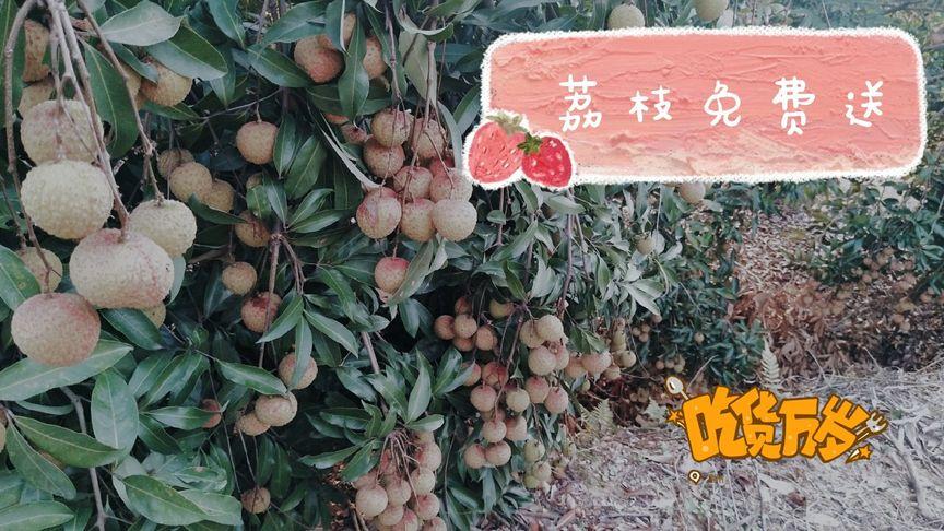2025新澳门王中王正版和商家互砸西瓜丢荔枝与